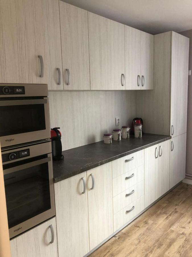 Sighisoara Apartment Экстерьер фото